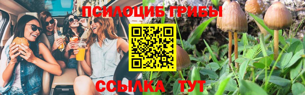 Туймазы  Галлюциногенные грибы мицелий  Вход с VPN 